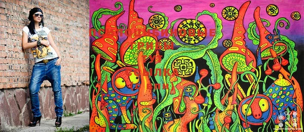 экстази Михайловка